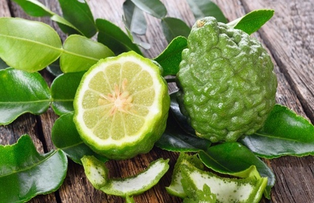 gà đốt Kampot - công dụng của lá chúc