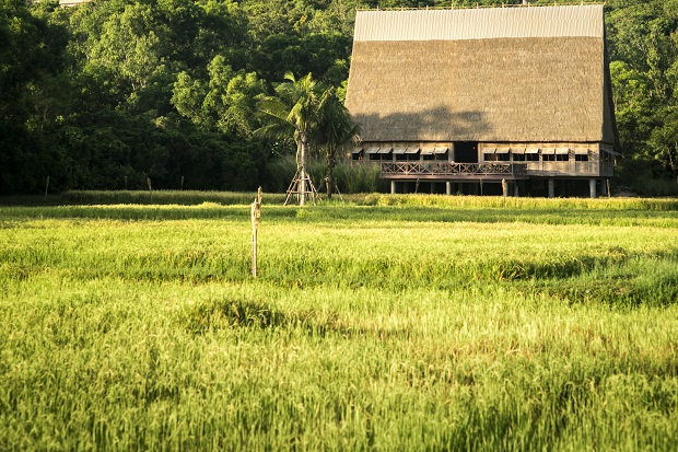 Kinh nghiệm đi Zannier Hotels Bãi San Hô - Paddy Field Villa