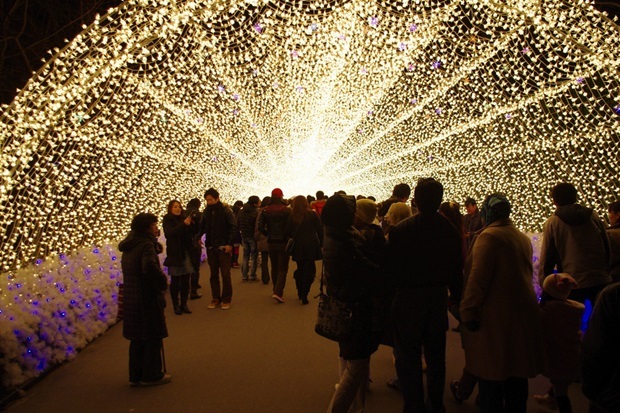 Lễ hội &aacute;nh s&aacute;ng m&ugrave;a đ&ocirc;ng tại Nhật Bản thu h&uacute;t kh&aacute;ch du lịch