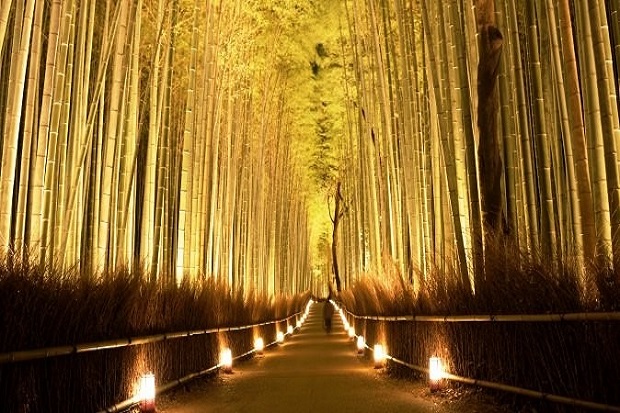 Lễ hội &aacute;nh s&aacute;ng m&ugrave;a đ&ocirc;ng tại Nhật Bản - Arashiyama Hanatouro
