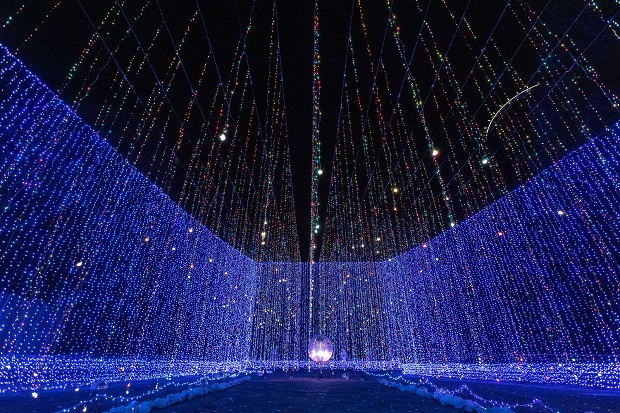 Kh&aacute;m ph&aacute; lễ hội &aacute;nh s&aacute;ng m&ugrave;a đ&ocirc;ng tại Nhật Bản