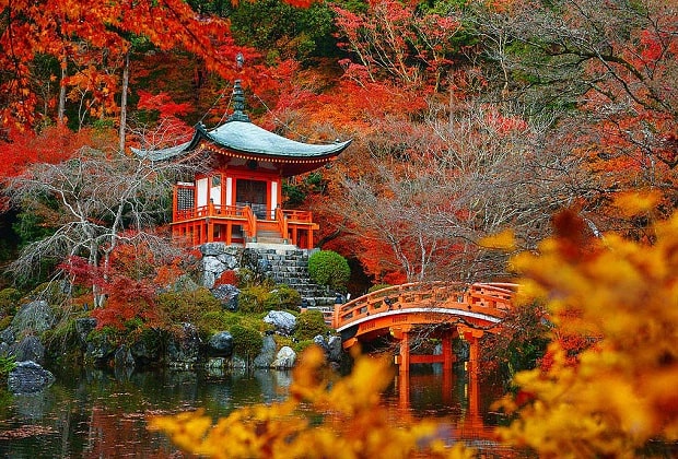 Lên kế hoạch cho một chuyến du lịch Nhật Bản - Thời điểm lý tưởng để du lịch Nhật Bản