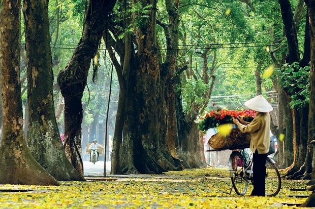 M&ugrave;a thu H&agrave; Nội