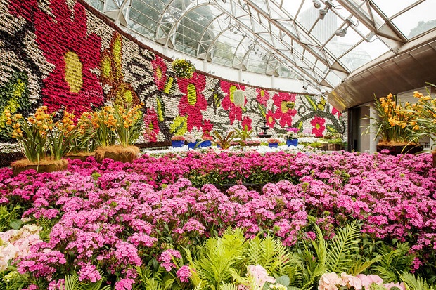 Vườn B&aacute;ch thảo Ho&agrave;ng gia