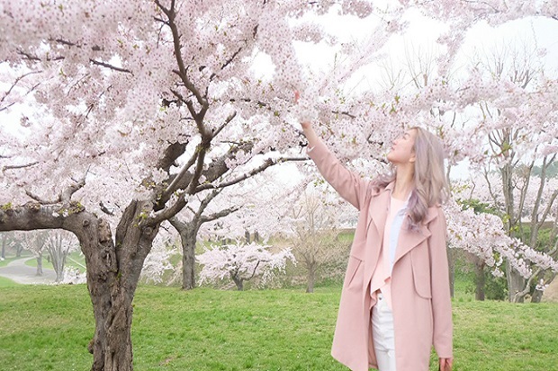 Mặc gì để ngắm tuyết trắng, anh đảo ở Nhật Bản