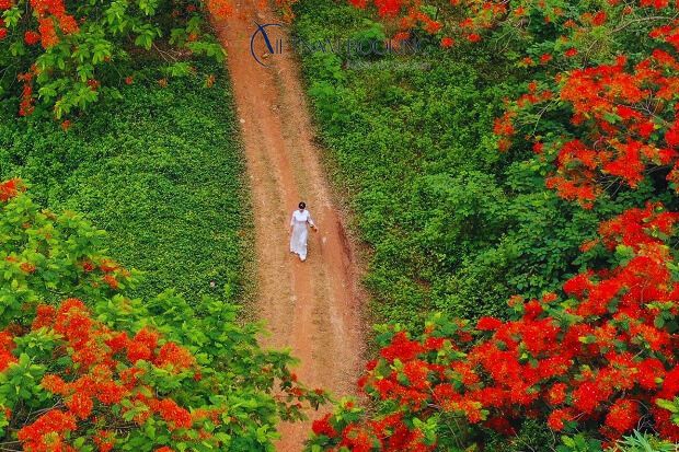 Thời điểm đặt v&eacute; m&aacute;y bay đi H&agrave; Nội