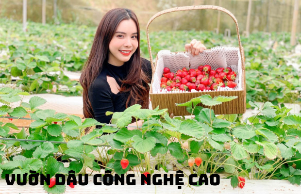 Tour Đà Lạt mùa hè Datanla Puppy Farm 4N3Đ