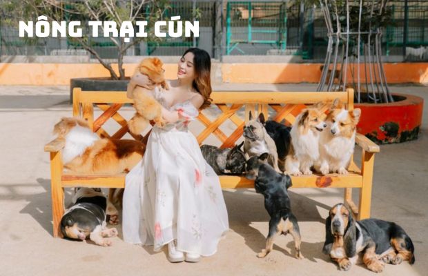 Tour Sài Gòn – Đà Lạt – Tea Resort – Thác Prenn 3N3Đ hè 2024