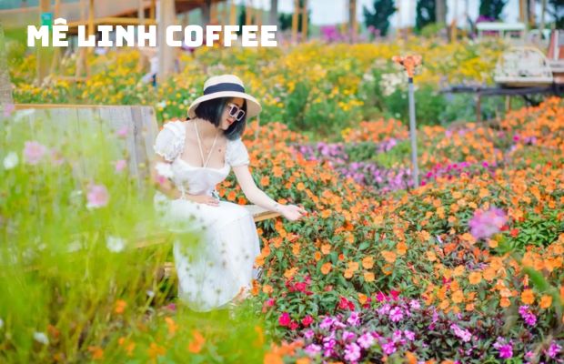 Tour Sài Gòn – Đà Lạt – Tea Resort – Thác Prenn 3N3Đ hè 2024