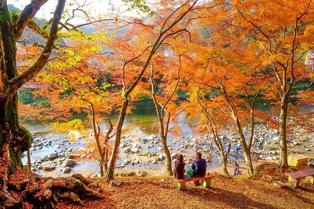 tour Hồng Kông - mùa thu