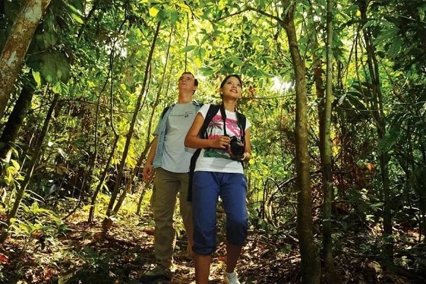 Trang phục du lịch Malaysia tại Vườn Quốc Gia Taman Negara