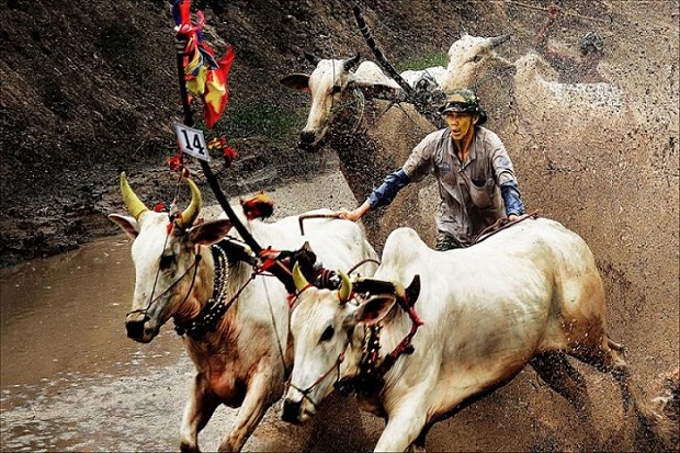 Văn hóa Indonesia - Lễ hội truyền thống