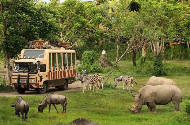 Công viên Taman Safari