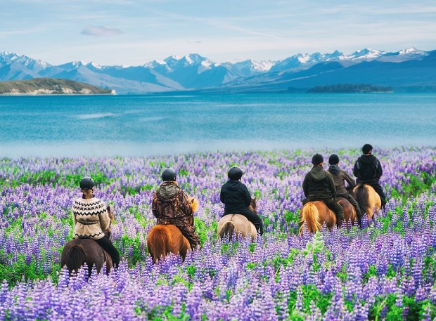 Thời điểm du lịch New Zealand