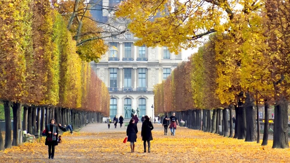 Con phố cổ k&iacute;nh với sắc v&agrave;ng l&aacute; thu tại Paris