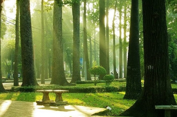 Công viên Tao Đàn