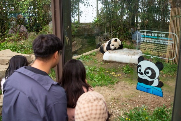 Công viên giải trí Everland 
