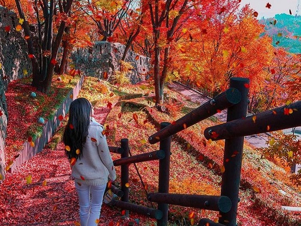 C&ocirc;ng vi&ecirc;n Namsan&nbsp;&nbsp;