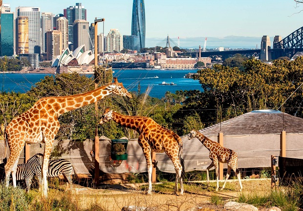 Vườn thú Taronga