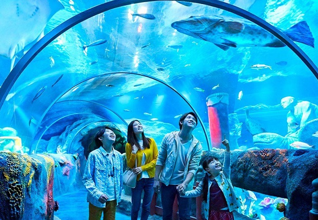 Thủy cung Sea Life Sydney 