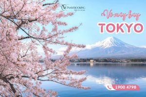 Vé máy bay đi Tokyo giá rẻ chỉ từ 2.890.000Đ