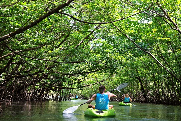 Chèo Sup trên vịnh đảo Saracen