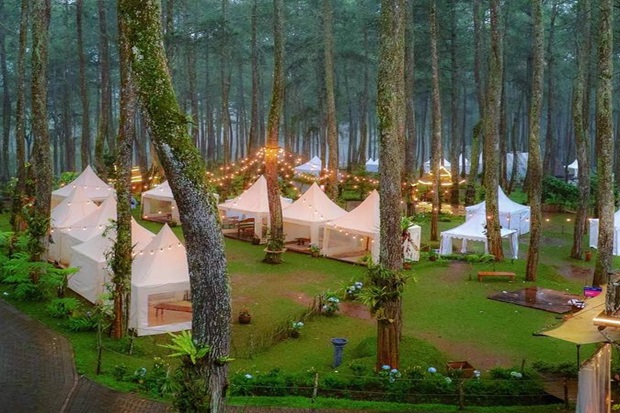 Vườn lan Indonesia - Vườn Lan Orchid Forest