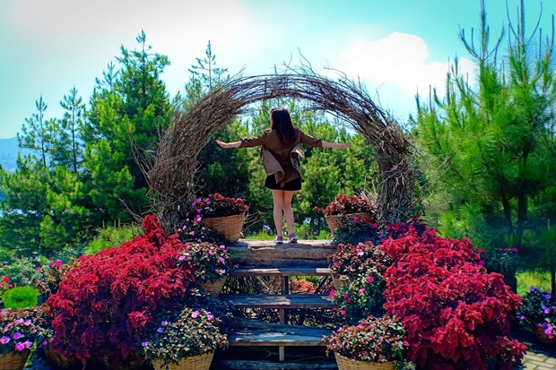 Vườn lan Indonesia - Vườn Lan Kebun Begonia