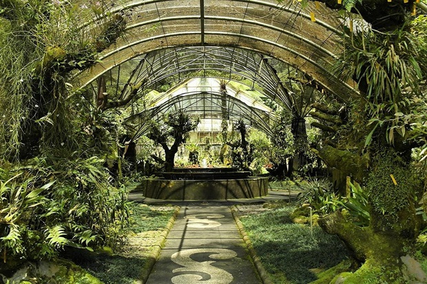 Vườn lan Indonesia - Vườn Lan Eka Karya