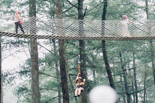 Vườn lan Indonesia - Vườn Lan Orchid Forest