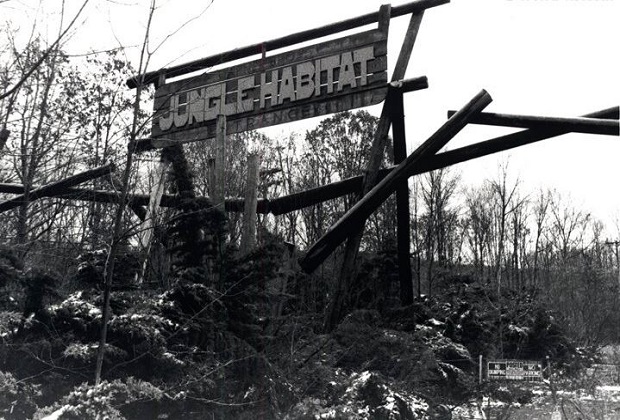 công viên bị bỏ hoang - Công viên động vật ở New Jersey