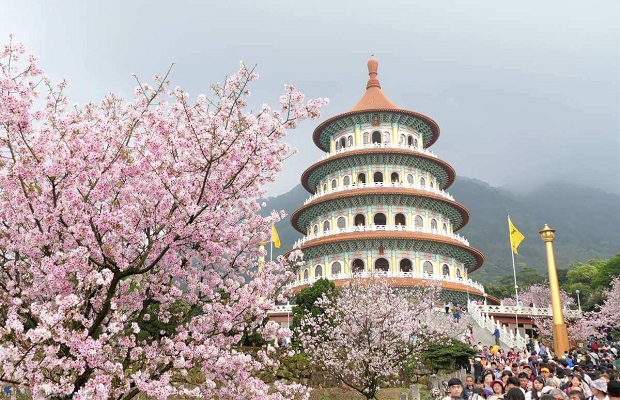 địa điểm ngắm hoa anh đào đẹp ở Đài Loan - Đền Wuji Tianyuan