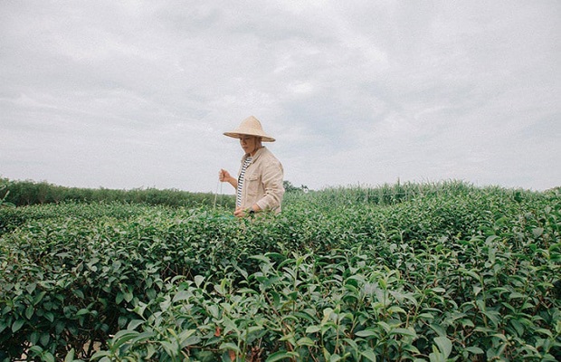 Hướng dẫn đường đi Bitou Jiao - Đồi 