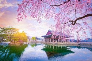 Lịch bay đi Hàn Quốc hàng tháng từ hãng hàng không