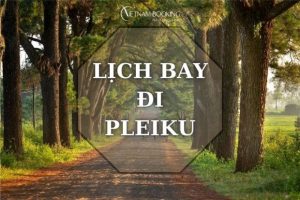 Lịch bay đi Pleiku