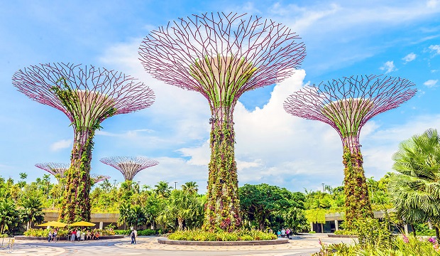 v&eacute; m&aacute;y bay từ H&agrave; Nội đi Singapore