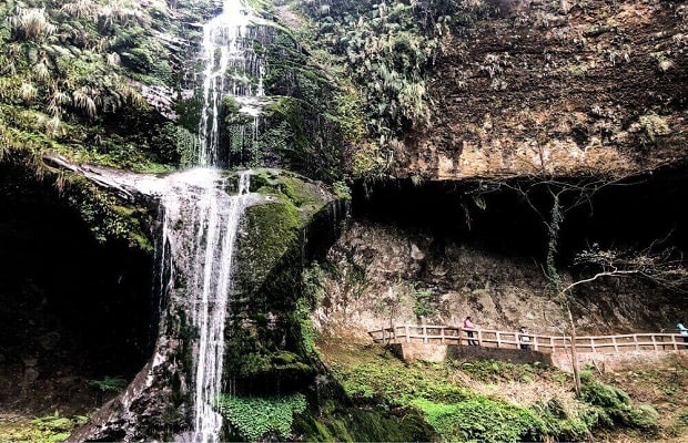 rừng Shanlinxi - giới thiệu sơ nét về rừng Shanlinxi