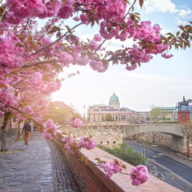n&ecirc;n đi du lịch Budapest m&ugrave;a n&agrave;o