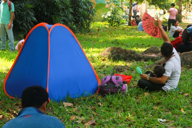 Tổ chức cắm trại dưới không gian xanh