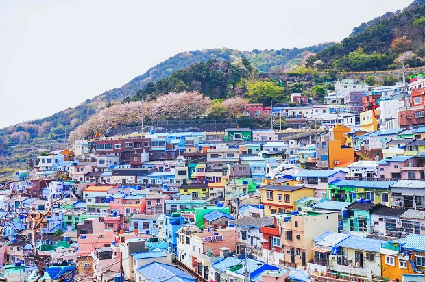 vé máy bay đi Busan