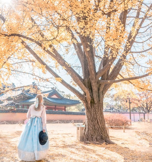 mùa thu hàn quốc