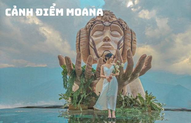 Tour Sapa Moana 3N2Đ: Khám Phá Bản Cát Cát & Chinh Phục Fansipan