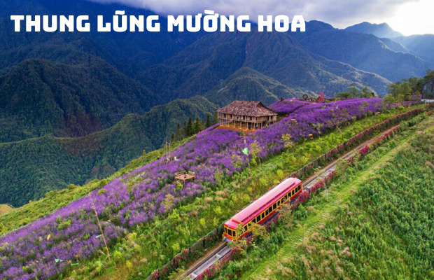 Tour Sapa Moana 3N2Đ: Khám Phá Bản Cát Cát & Chinh Phục Fansipan