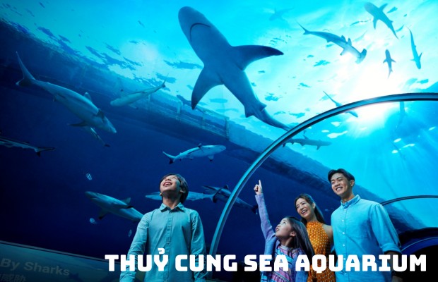 Tour Singapore 4N3Đ: Đảo Sentosa – Merlion Park – Garden By The Bay