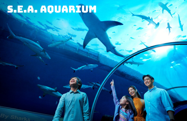 Tour Singapore Malaysia 5N4Đ | Merlion Park – Garden By The Bay – Đảo Sentosa – Malacca