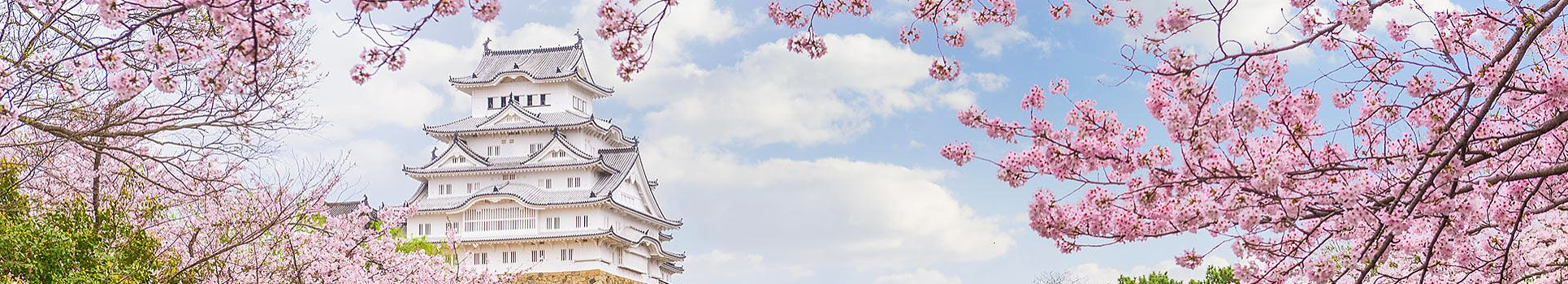 Image Banner default