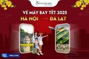 Săn vé máy bay Tết 2025 Hà Nội đi Đà Lạt, ngắm mùa mai anh đào