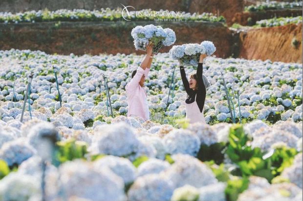 Du lịch Đà Lạt