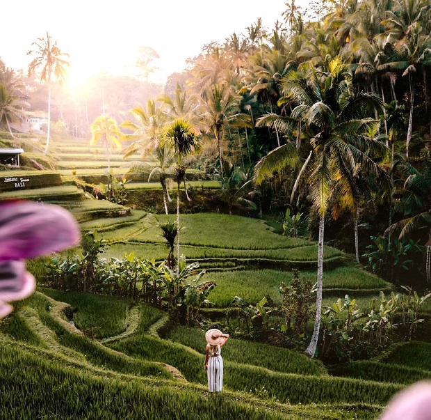 ruộng bậc thang&nbsp;Tegalalang