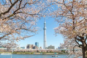 Lịch bay Đà Nẵng đi Tokyo Narita hàng ngày